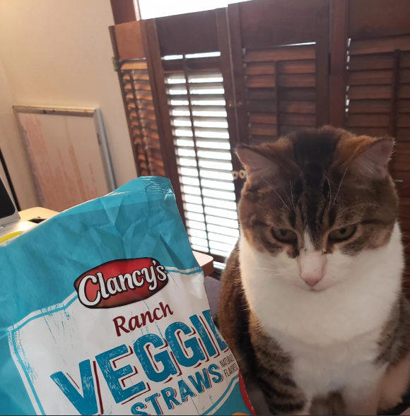 Health Concerns With Feeding Veggie Straws to Cats